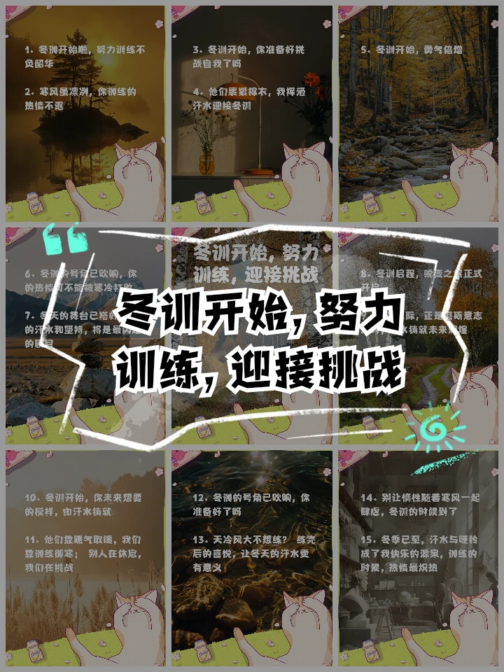 哪里可以找到关于篮球总决赛的训练资料_0